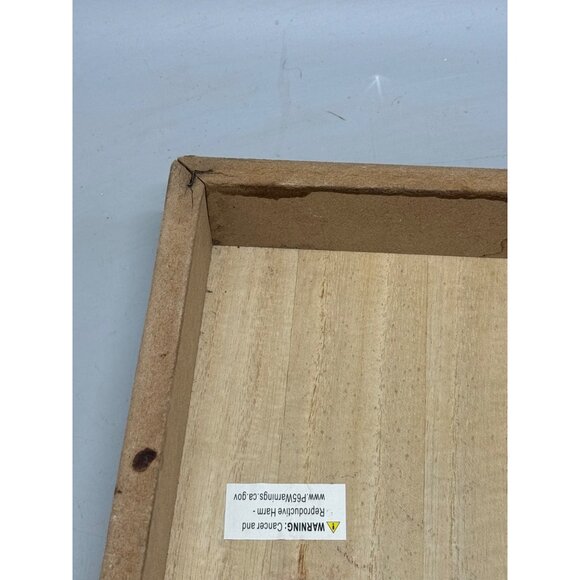 Bloom With Grace Wooden Wall Art Decor - Floral Hexagon Design 9" x 7" READ - Picture 8 of 14